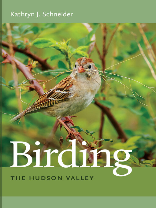 Cover image for Birding the Hudson Valley